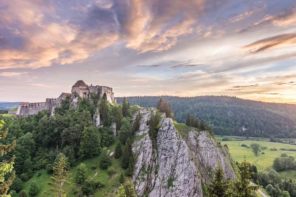 Chateau de Joux